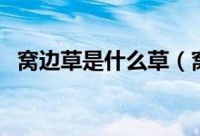 窩邊草是什么草（窩邊草指的是什么意思）