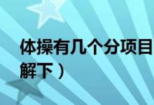 體操有幾個分項(xiàng)目,分別為什么（快來這里了解下）