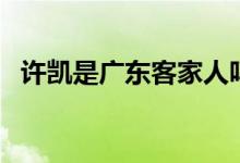 許凱是廣東客家人嗎（許凱是廣東哪里人）