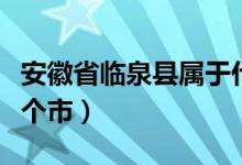 安徽省臨泉縣屬于什么（安徽省臨泉縣屬于哪個市）