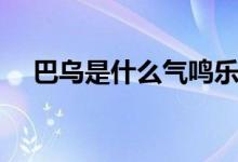 巴烏是什么氣鳴樂器（巴烏指的是什么）
