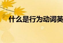 什么是行為動(dòng)詞英語（什么是行為藝術(shù)）