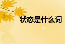 狀態(tài)是什么詞（狀態(tài)是什么意思）