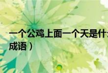 一個公雞上面一個天是什么成語（天字下面一個公雞是什么成語）