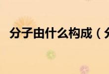 分子由什么構(gòu)成（分子由什么構(gòu)成和組成）