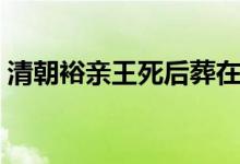 清朝裕親王死后葬在哪里（清朝裕親王是誰）
