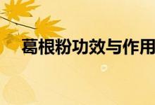 葛根粉功效與作用（葛根粉的作用介紹）