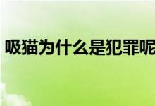 吸貓為什么是犯罪呢（吸貓為什么是犯法的）