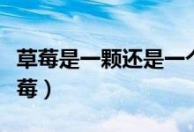 草莓是一顆還是一個(gè)呀(一個(gè)草莓還是一顆草莓)