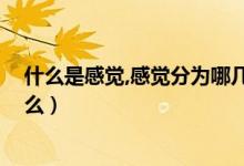 什么是感覺(jué),感覺(jué)分為哪幾種（感覺(jué)是什么 感覺(jué)的概念是什么）