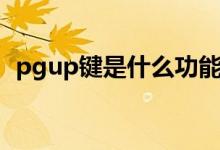 pgup鍵是什么功能（pgup鍵是什么意思）