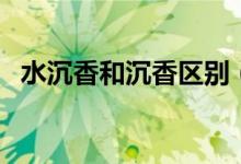 水沉香和沉香區(qū)別（水沉香和沉香的區(qū)別）
