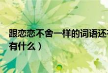 跟戀戀不舍一樣的詞語(yǔ)還有什么（跟戀戀不舍一樣的詞語(yǔ)還有什么）