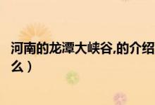 河南的龍?zhí)洞髰{谷,的介紹(齊魯?shù)谝积執(zhí)洞髰{谷的傳說是什么)