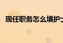 現(xiàn)任職務(wù)怎么填護(hù)士（現(xiàn)任職務(wù)怎么填寫）