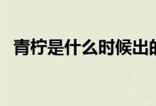 青檸是什么時候出的歌（青檸是什么意思）