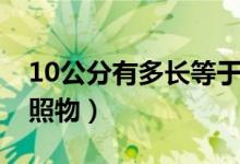 10公分有多長(zhǎng)等于一米嗎（10公分有多長(zhǎng)參照物）