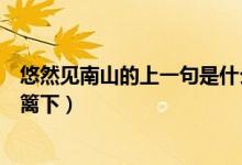 悠然見南山的上一句是什么（悠然見南山的上一句是采菊東籬下）