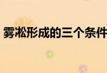 霧凇形成的三個條件（霧凇形成的三個條件）