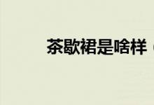 茶歇裙是啥樣（茶歇裙是什么裙）