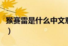 猴賽雷是什么中文意思（猴賽雷呀是什么意思）