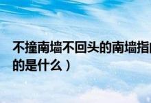 不撞南墻不回頭的南墻指的什么（不撞南墻不回頭的南墻指的是什么）