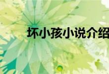 壞小孩小說介紹（壞小孩小說簡(jiǎn)介）