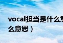 vocal擔(dān)當(dāng)是什么意思中文（vocal擔(dān)當(dāng)是什么意思）