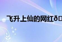 飛升上仙的網(wǎng)紅