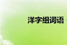 洋字組詞語（漢字洋組詞語）
