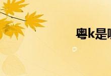 粵k是哪里的車牌