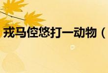 戎馬倥悠打一動物（戎馬倥傯的動物是什么）