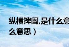 縱橫捭闔,是什么意思（縱橫捭闔睥睨天下什么意思）