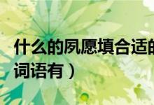 什么的夙愿填合適的詞（什么的夙愿填合適的詞語有）