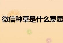 微信種草是什么意思（微信種草是什么意思）