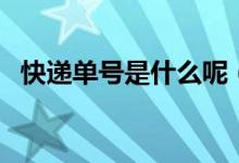 快遞單號是什么呢（快遞單號是什么意思）