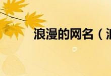 浪漫的網(wǎng)名（浪漫有詩(shī)意的網(wǎng)名）