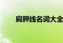 肩胛線名詞大全（肩胛線名詞解釋）