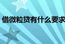 借微粒貸有什么要求（借微粒貸有什么影響）