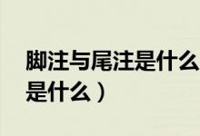 腳注與尾注是什么（腳注和尾注 它們的區(qū)別是什么）