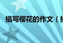 描寫櫻花的作文（描寫櫻花的作文怎么寫）