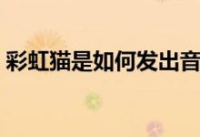 彩虹貓是如何發(fā)出音樂的（彩虹貓是什么梗）