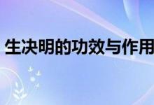 生決明的功效與作用禁忌（這里有詳細介紹）