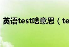 英語(yǔ)test啥意思（test英語(yǔ)中文是什么意思）