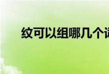 紋可以組哪幾個(gè)詞（紋可以組什么詞）