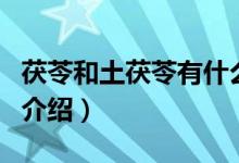 茯苓和土茯苓有什么區(qū)別（茯苓和土茯苓區(qū)別介紹）