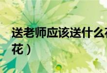 送老師應(yīng)該送什么花（6種適合獻(xiàn)給老師的鮮花）