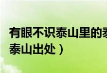 有眼不識泰山里的泰山是什么意思（有眼不識泰山出處）