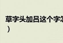 草字頭加呂這個字怎樣讀(草字頭加呂什么字)