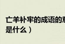 亡羊補(bǔ)牢的成語(yǔ)的意思（成語(yǔ)亡羊補(bǔ)牢的寓意是什么）